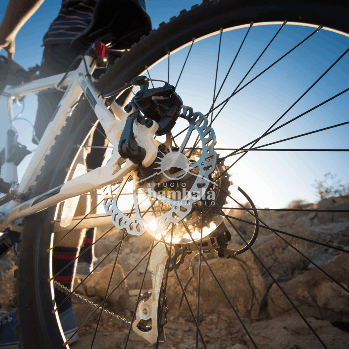 testate news Alpe giumello in Mountain Bike