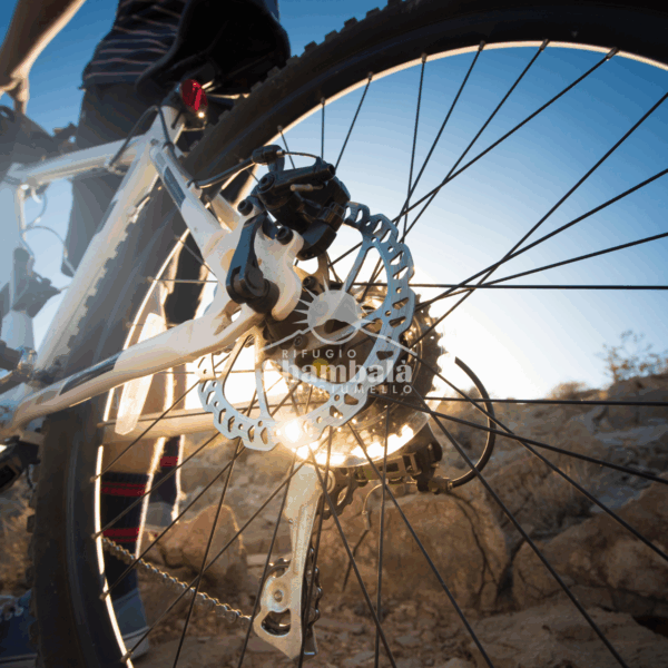 Alpe giumello in Mountain Bike