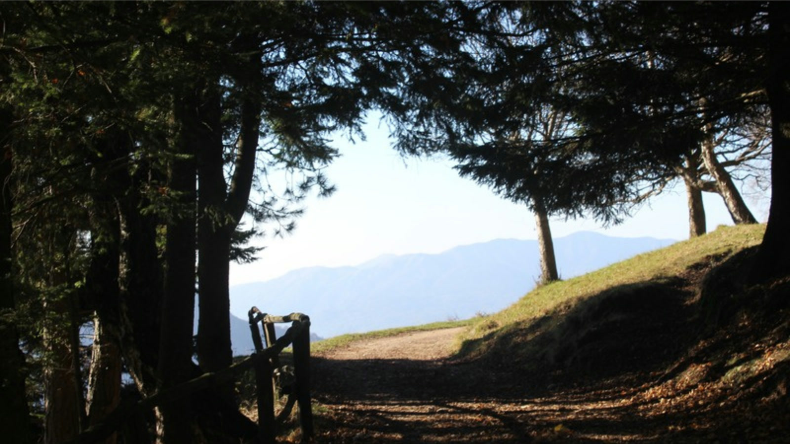 Panorama autunnale all'Alpe Giumello